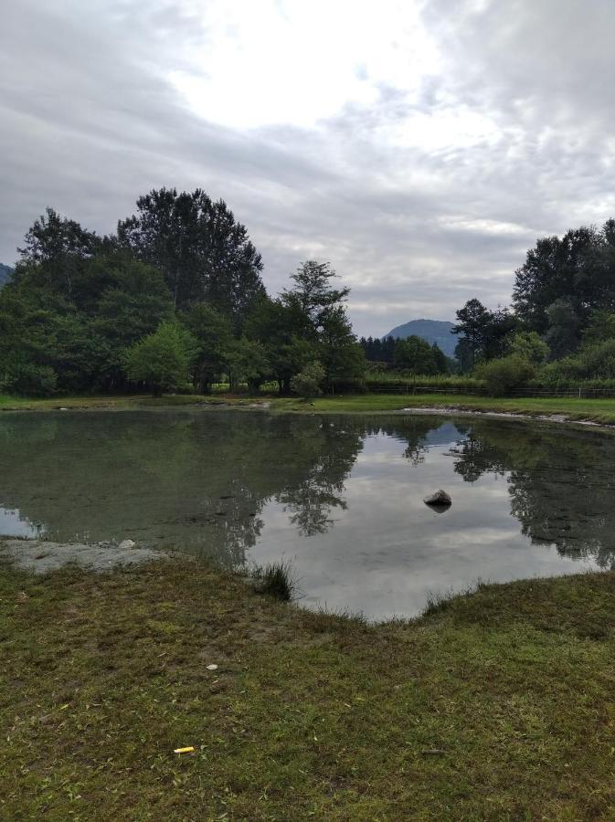 Appartement Tra La Stazione E Il Lago à Verbania Extérieur photo