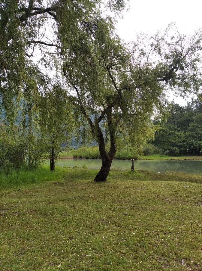 Appartement Tra La Stazione E Il Lago à Verbania Extérieur photo